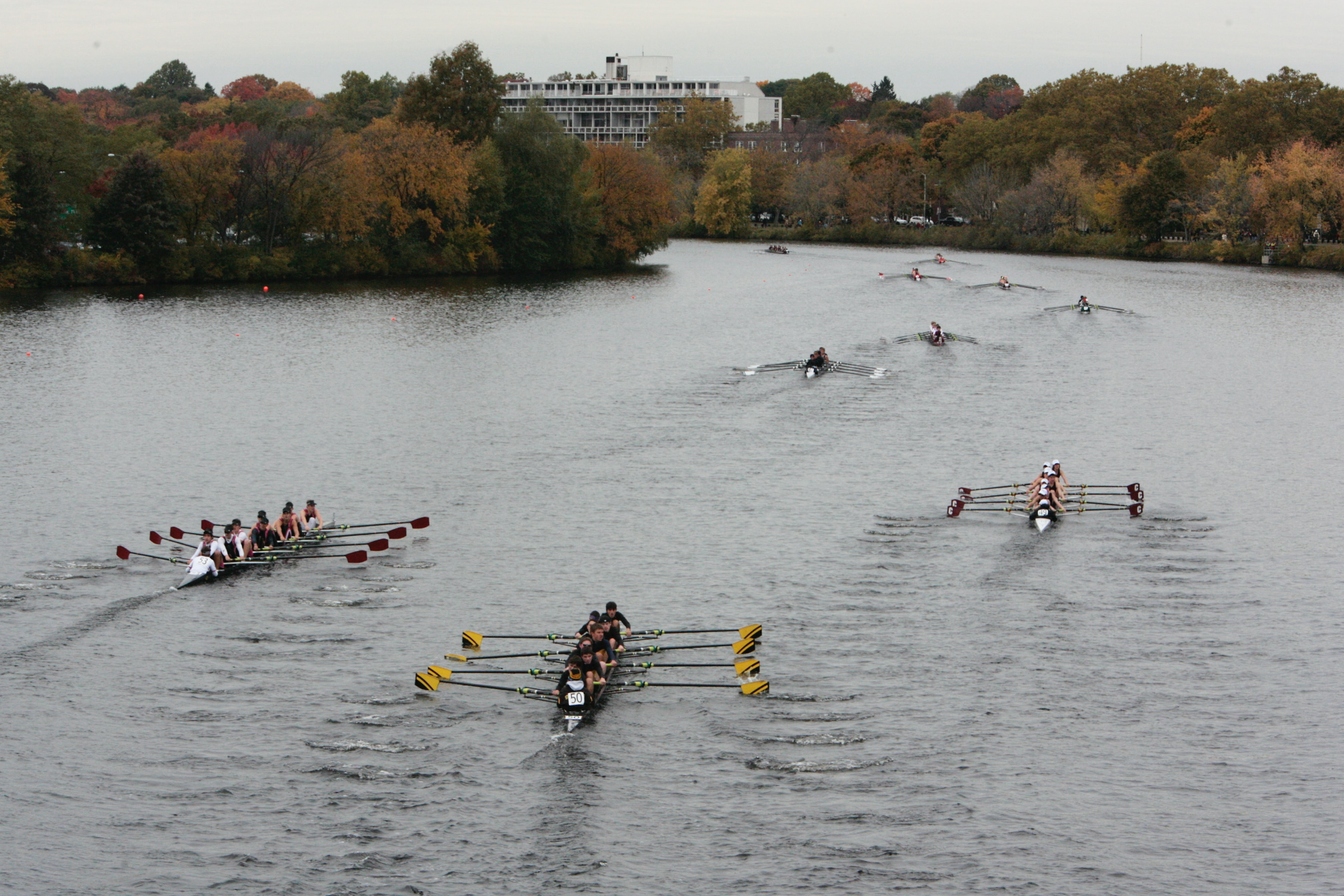 8. Rowing